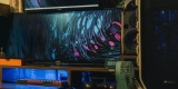 Was sind die besten Ultrawide-Gaming-Monitore?